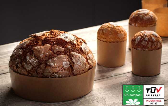 stampo panettone compostabile