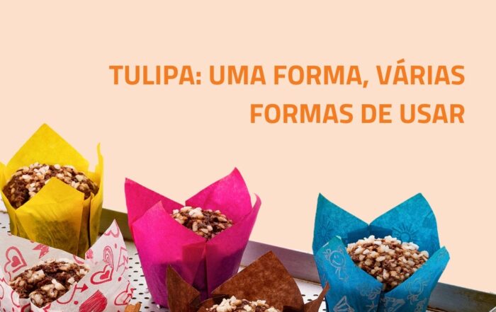 post tulipa blog 1