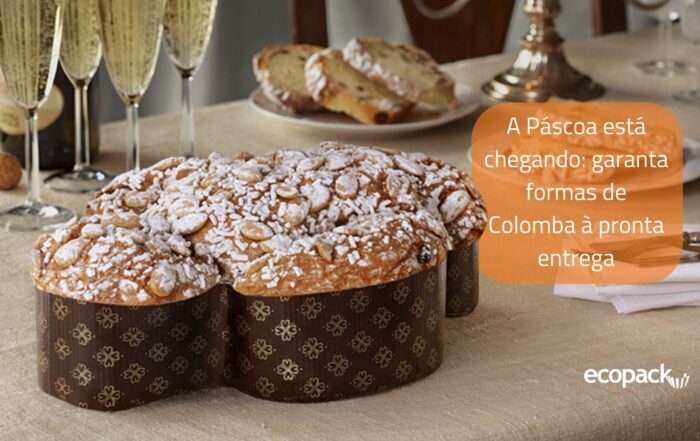 Home 16 Pascoa Newsletter