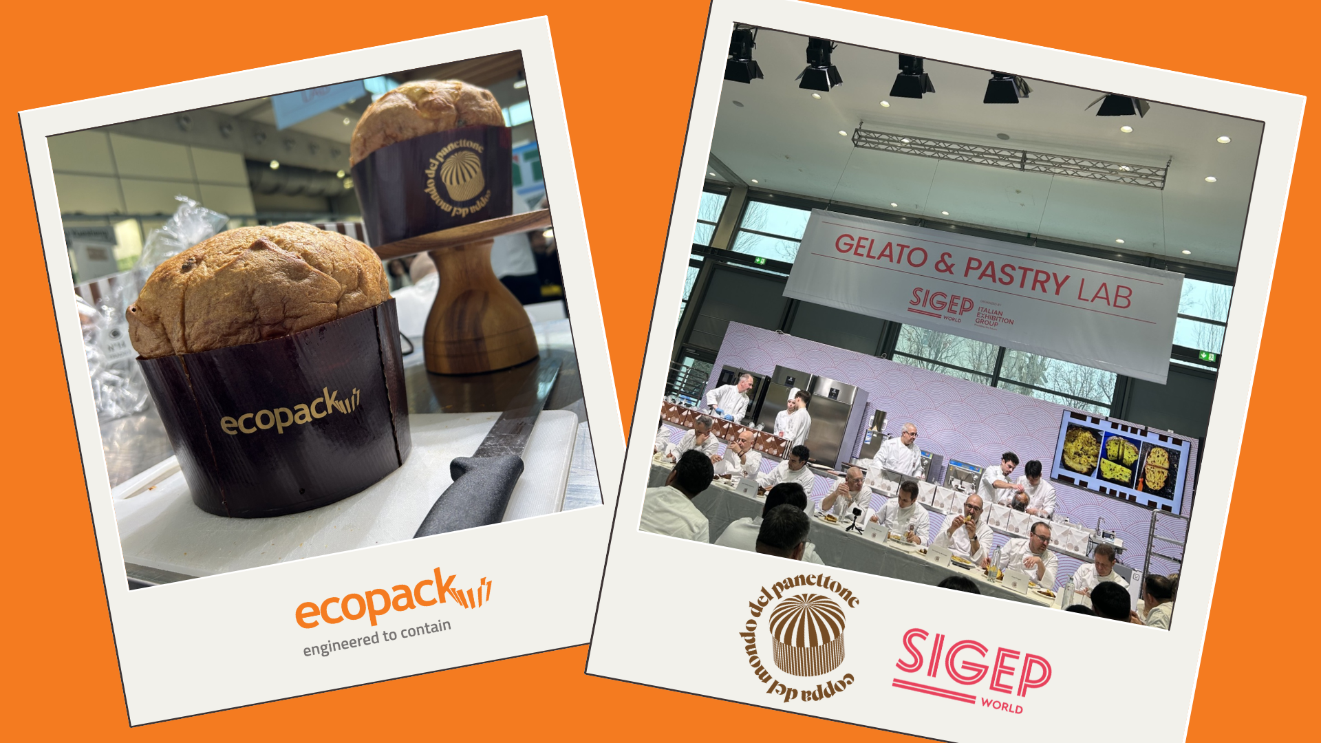 Coppa del mondo del panettone