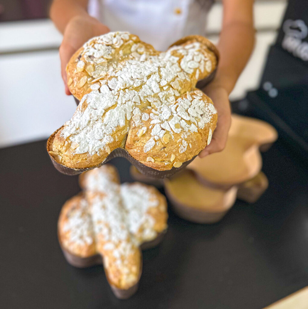 IMG 9283 jpg scaled e1772193651340