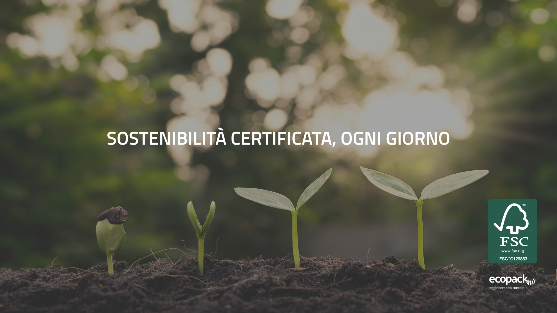 ita fsc